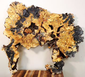 Buckeye Burl Slab - 27" x 22" x 2" - 11.31 Board Feet