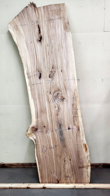 Butternut Live Edge Slab | 61.66 BF