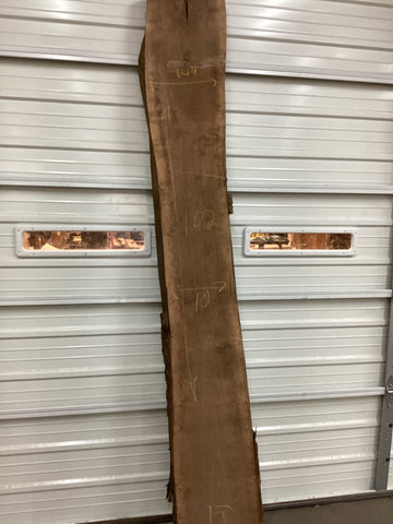 Black Walnut Slab