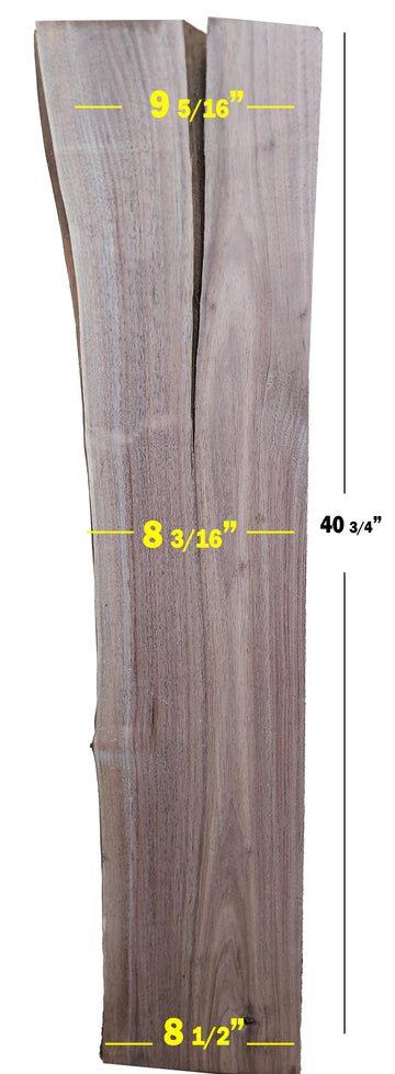 Walnut Slab | 3.851 bd. ft.