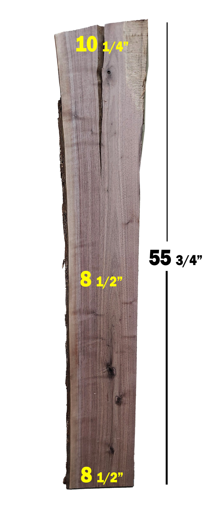 Walnut Slab | 5.348 bd. ft.