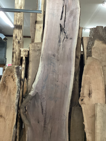 Black Walnut Slab | 50.17 BF