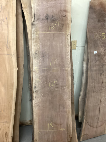 Black Walnut Slab | 21.25 BF