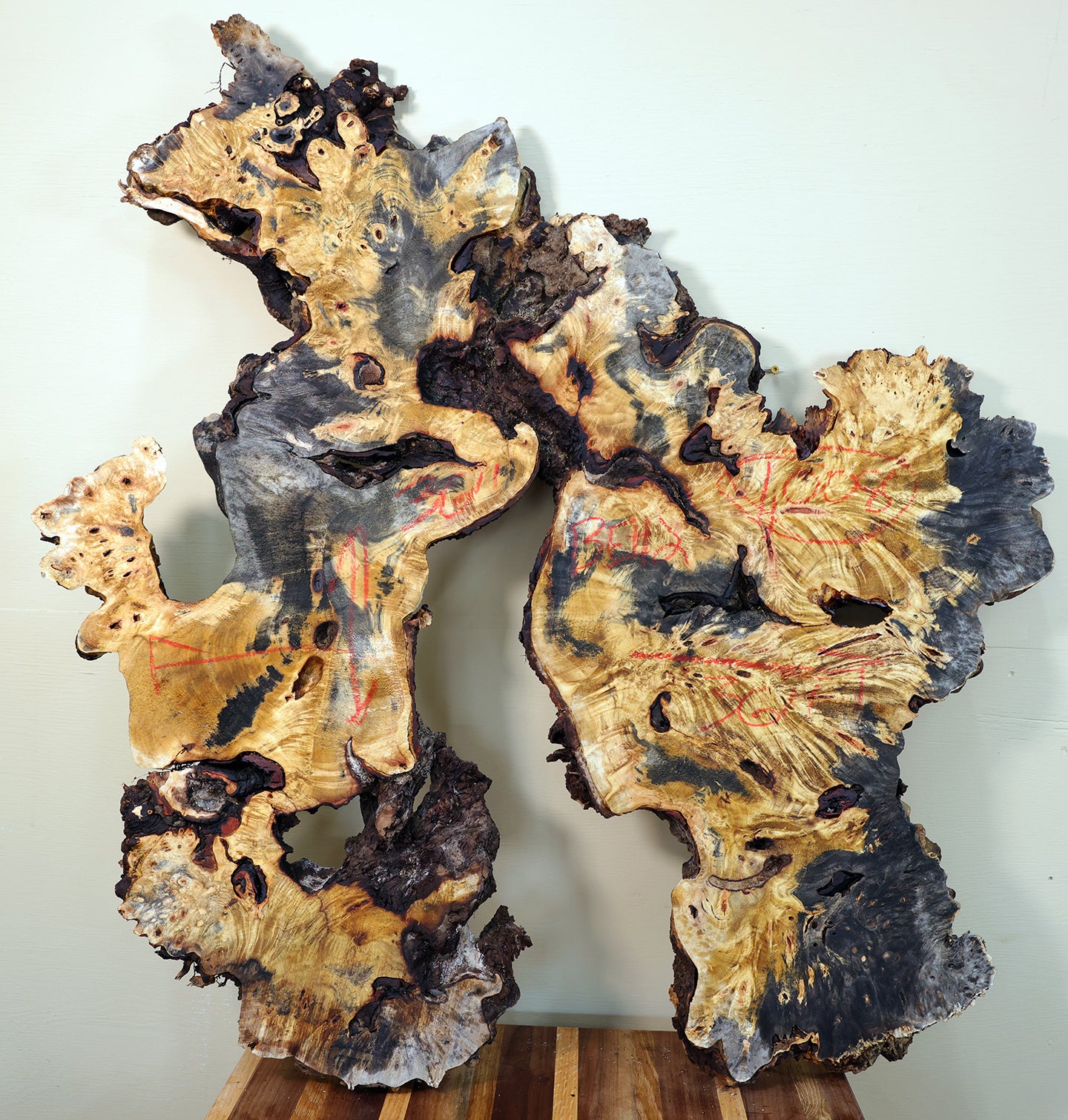 Kiln-Dried Buckeye Burl Slab - 36" x 36" x 2" - 18 Board Feet