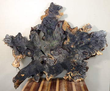 Kiln-Dried Buckeye Burl Slab - 36" x 24" x 2" - 12 Board Feet