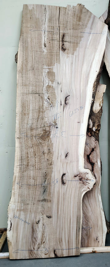 Butternut Live Edge Slab | 61.25 BF