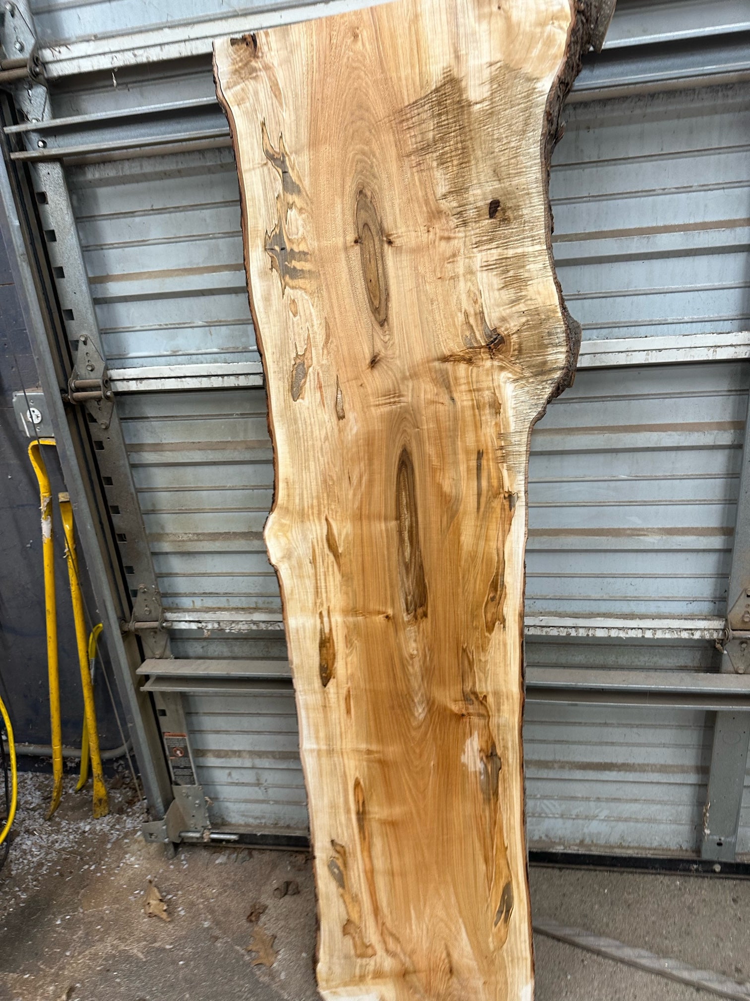 Maple Slab | 15.82 bd. ft.