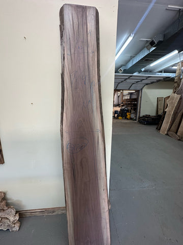 Black Walnut Slab | 22.5 BF